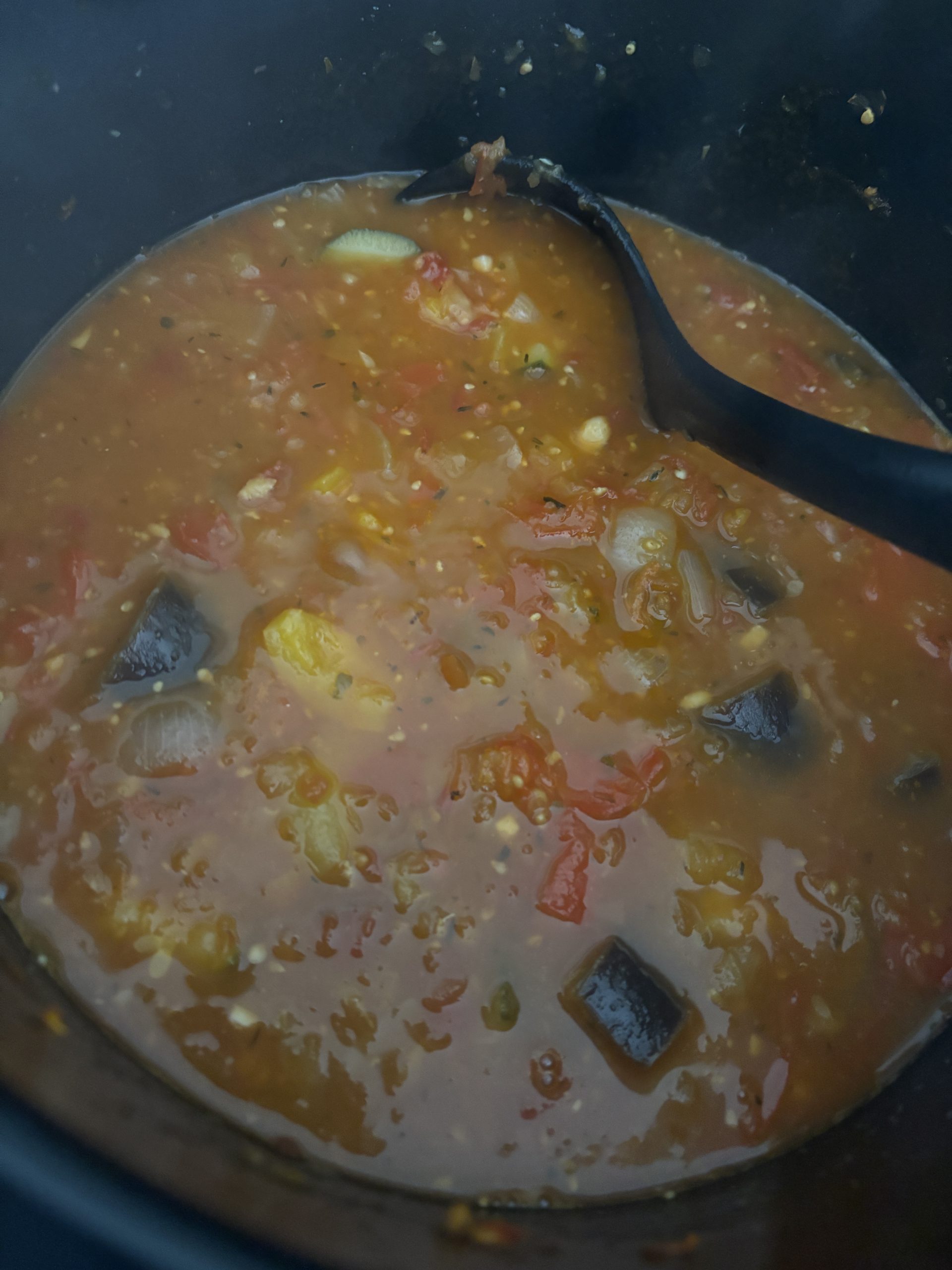 Multi-Cooker Ratatouille-Style Vegetable Stew